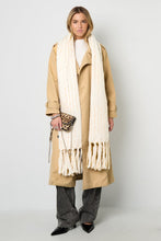 Afbeelding in Gallery-weergave laden, Winter scarves Strip Casual Polyester Daily Accessories
