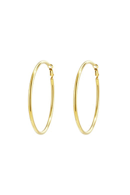 Stainless Steel Hoop Earrings Geometric Casual Daily Simple Series Women's jewelry